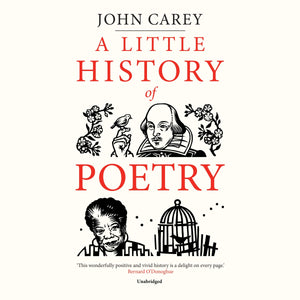 A Little History Of Poetry (The Little Histories Series)