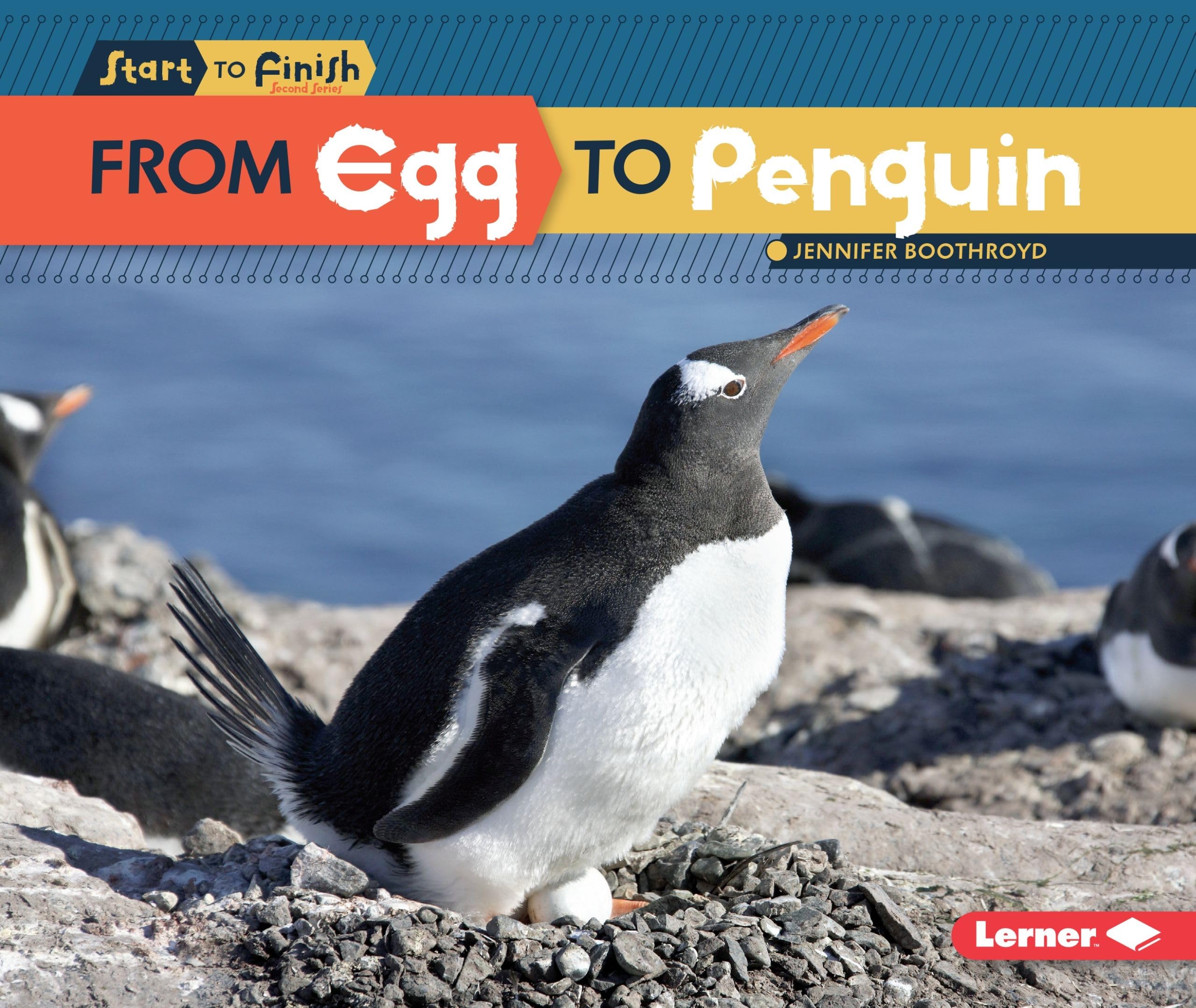 From Egg to Penguin (Start to Finish, Second Series),Used