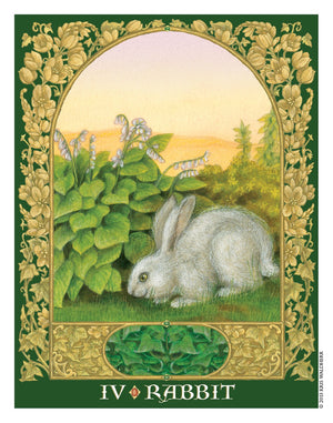 Sacred World Oracle,Used