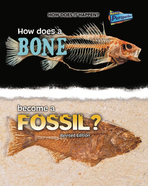 How Does a Bone Become a Fossil? (How Does It Happen),Used