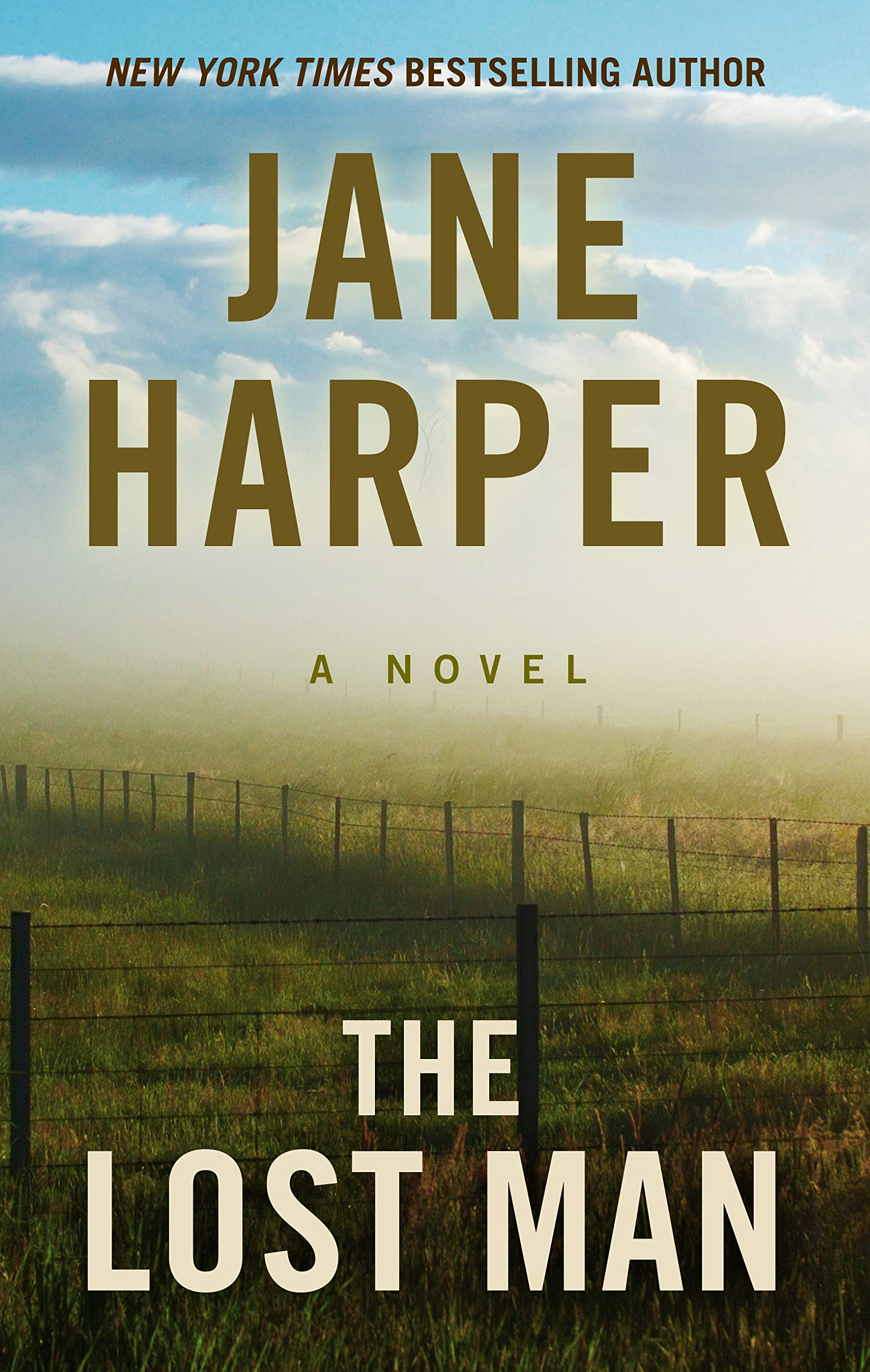 The Lost Man (Thorndike Press Large Print Basic Series),Used