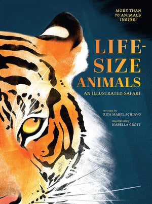 Lifesize Animals: An Illustrated Safari