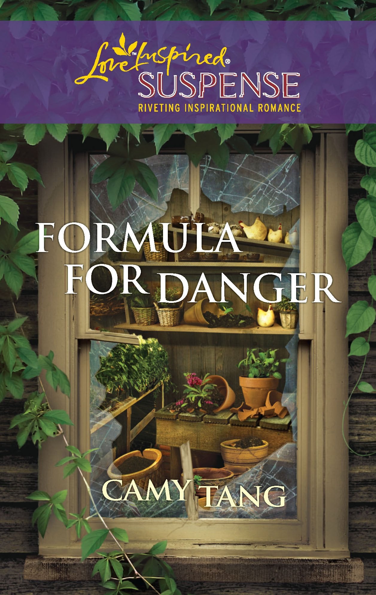 Formula For Danger (Love Inspired Suspense),Used
