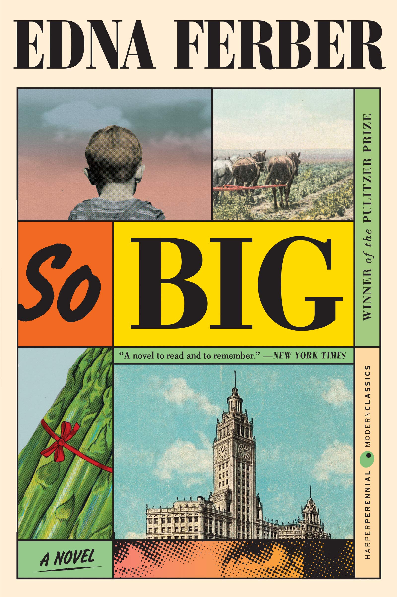 So Big: A Novel,Used