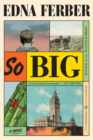 So Big: A Novel,Used