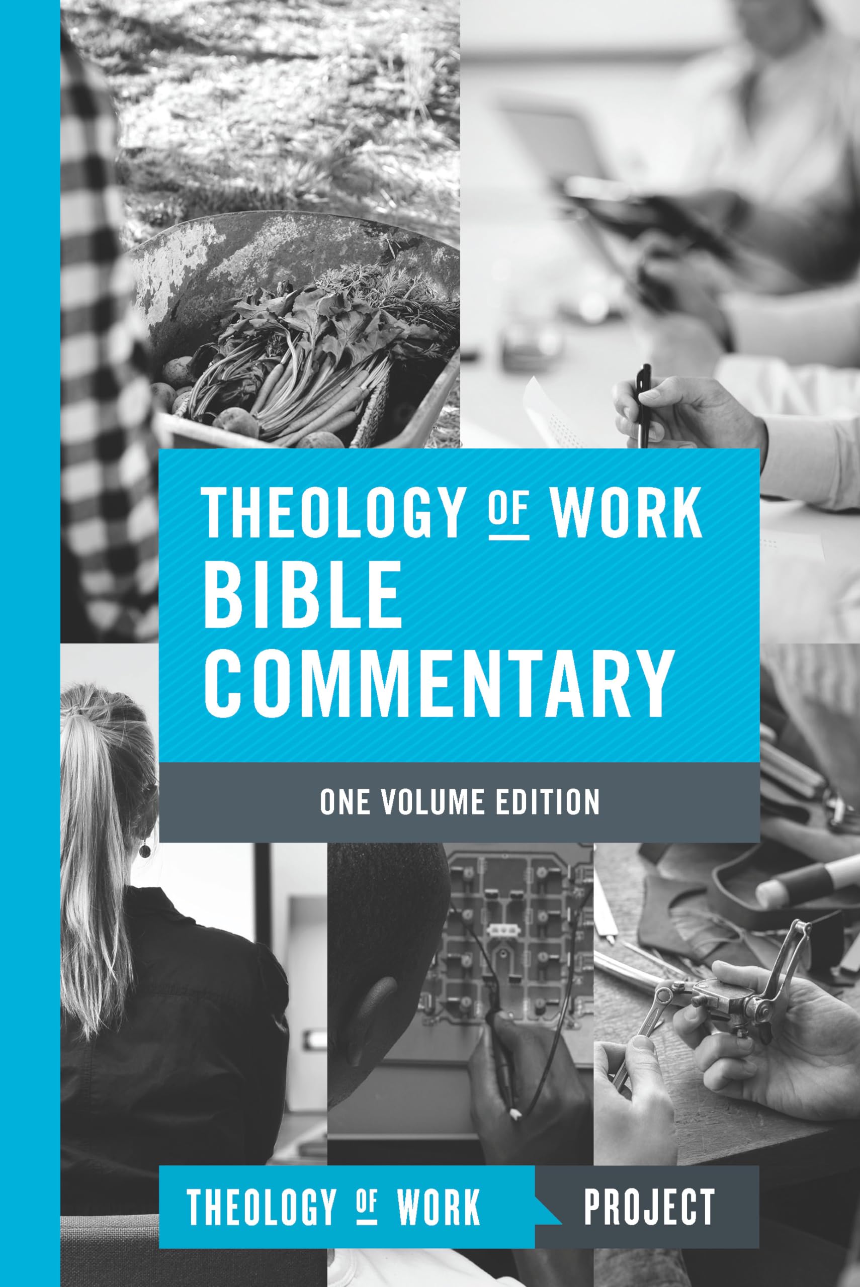 Theology of Work Bible Commentary, 1volume edition (Theology of Work Bible Commentaries),Used