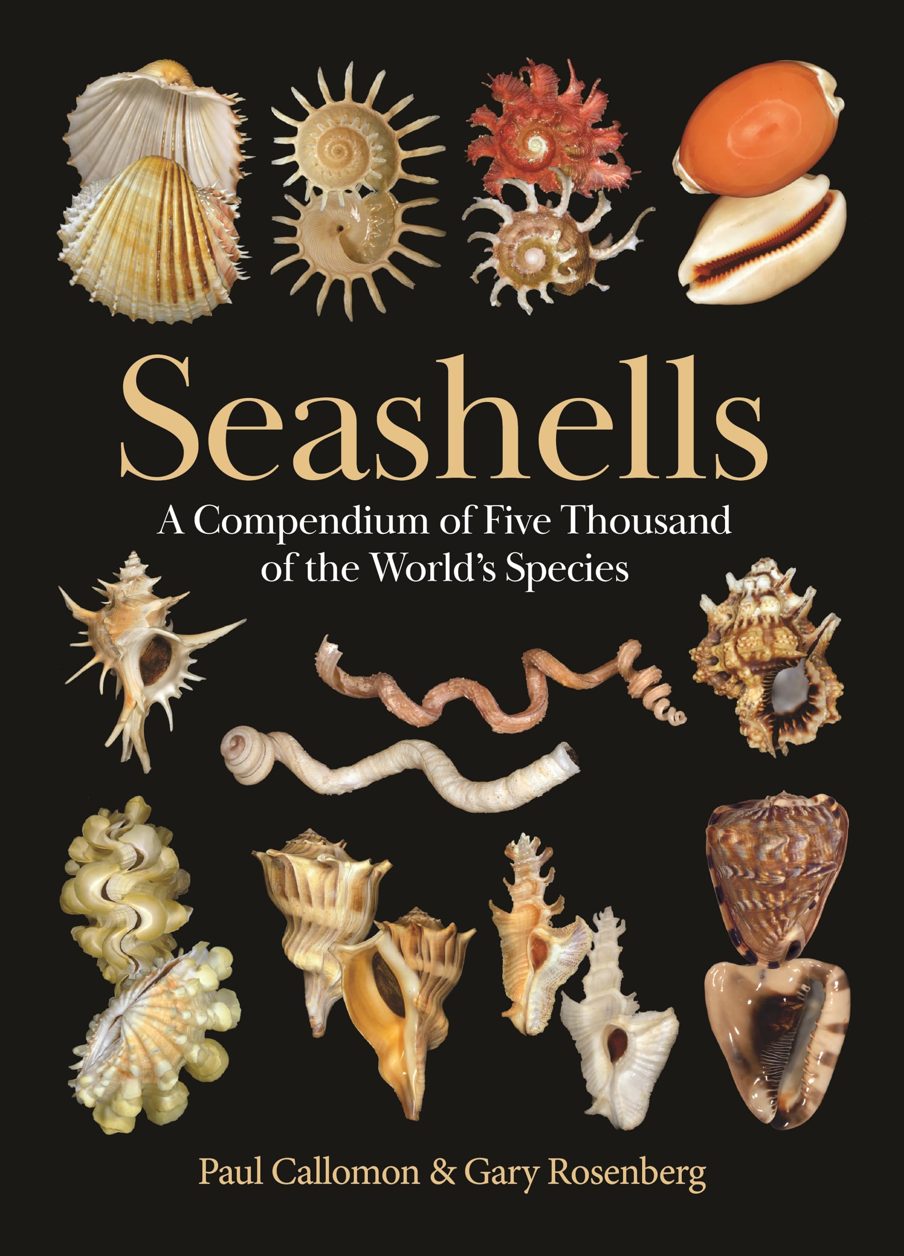 Seashells: A Compendium Of Five Thousand Of The WorldS Species