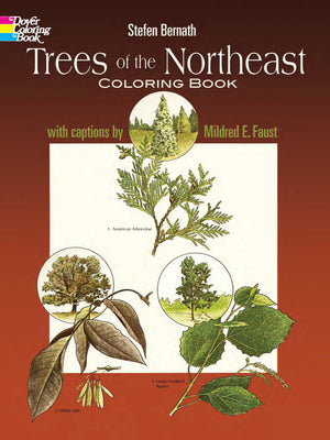 Trees Of The Northeast Coloring Book (Dover Nature Coloring Book)-used