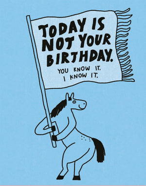 Humor Us Greeting Cards: Belated Birthday  Today Is Not Your Birthday (Pack Of 6)