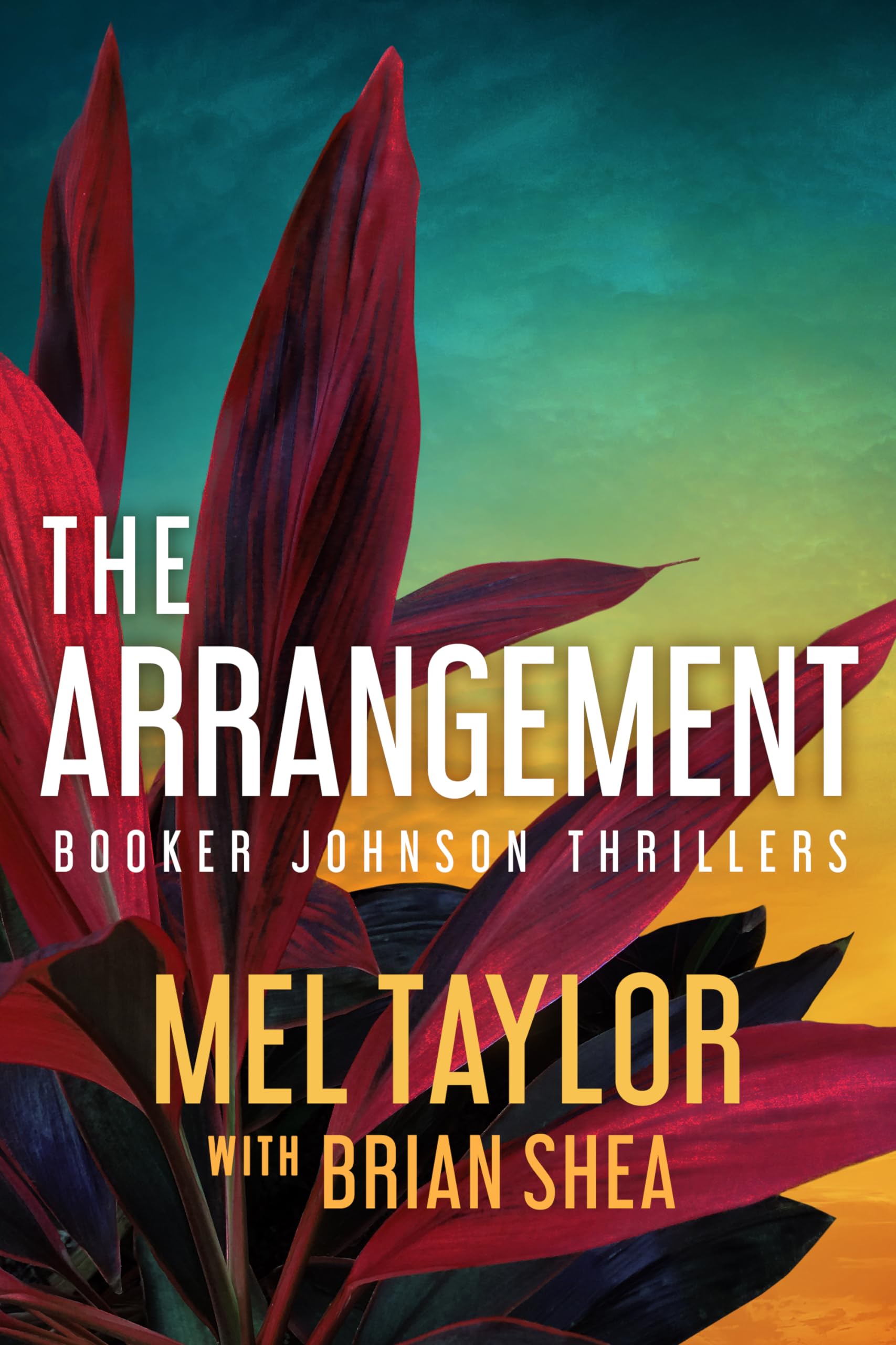 The Arrangement (Booker Johnson Thrillers, 2),New