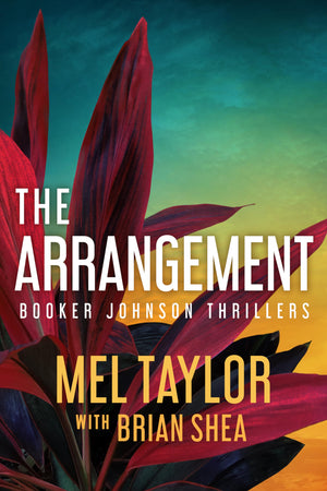 The Arrangement (Booker Johnson Thrillers, 2),New