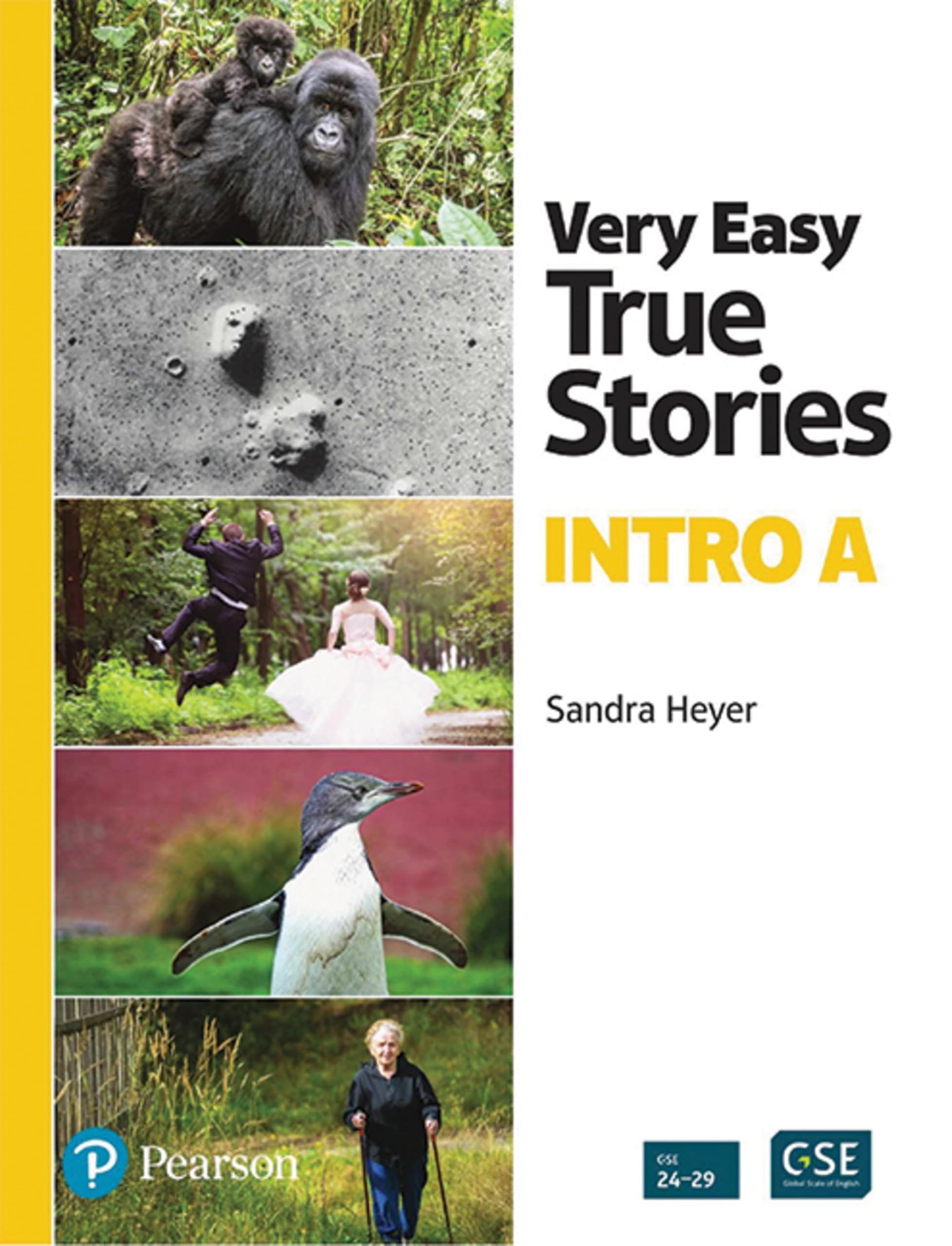 Very Easy True Stories: A PictureBased First Reader,Used
