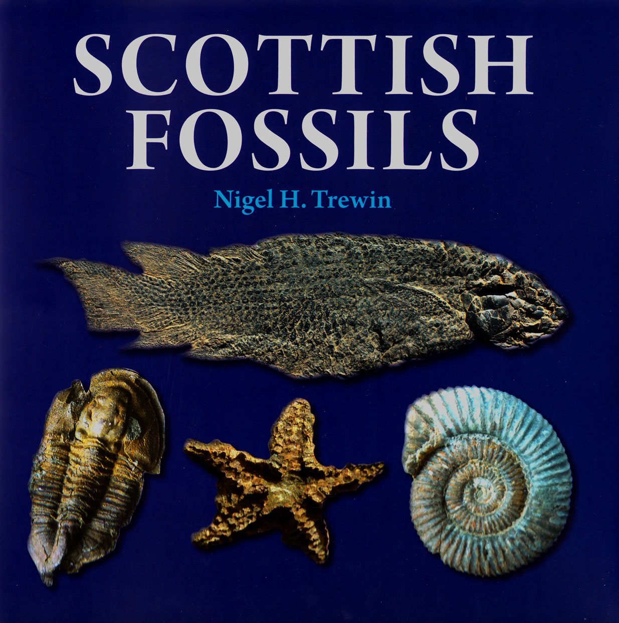 Scottish Fossils,Used