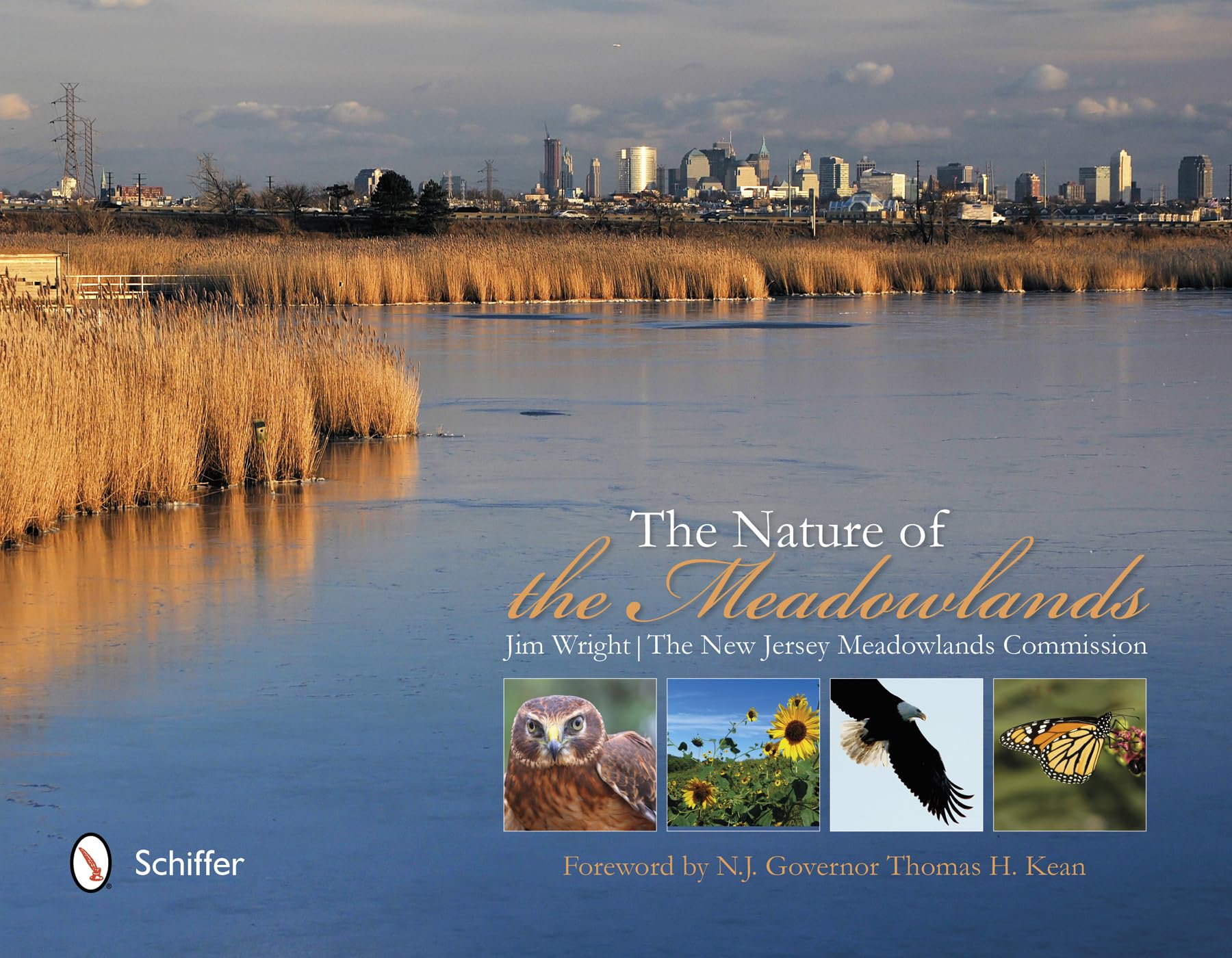 The Nature Of The Meadowlands,Used