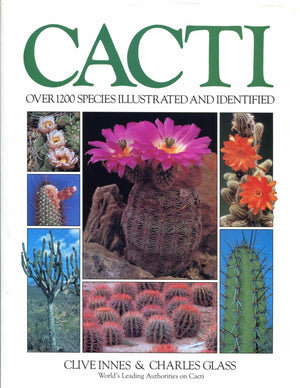 Cacti-new