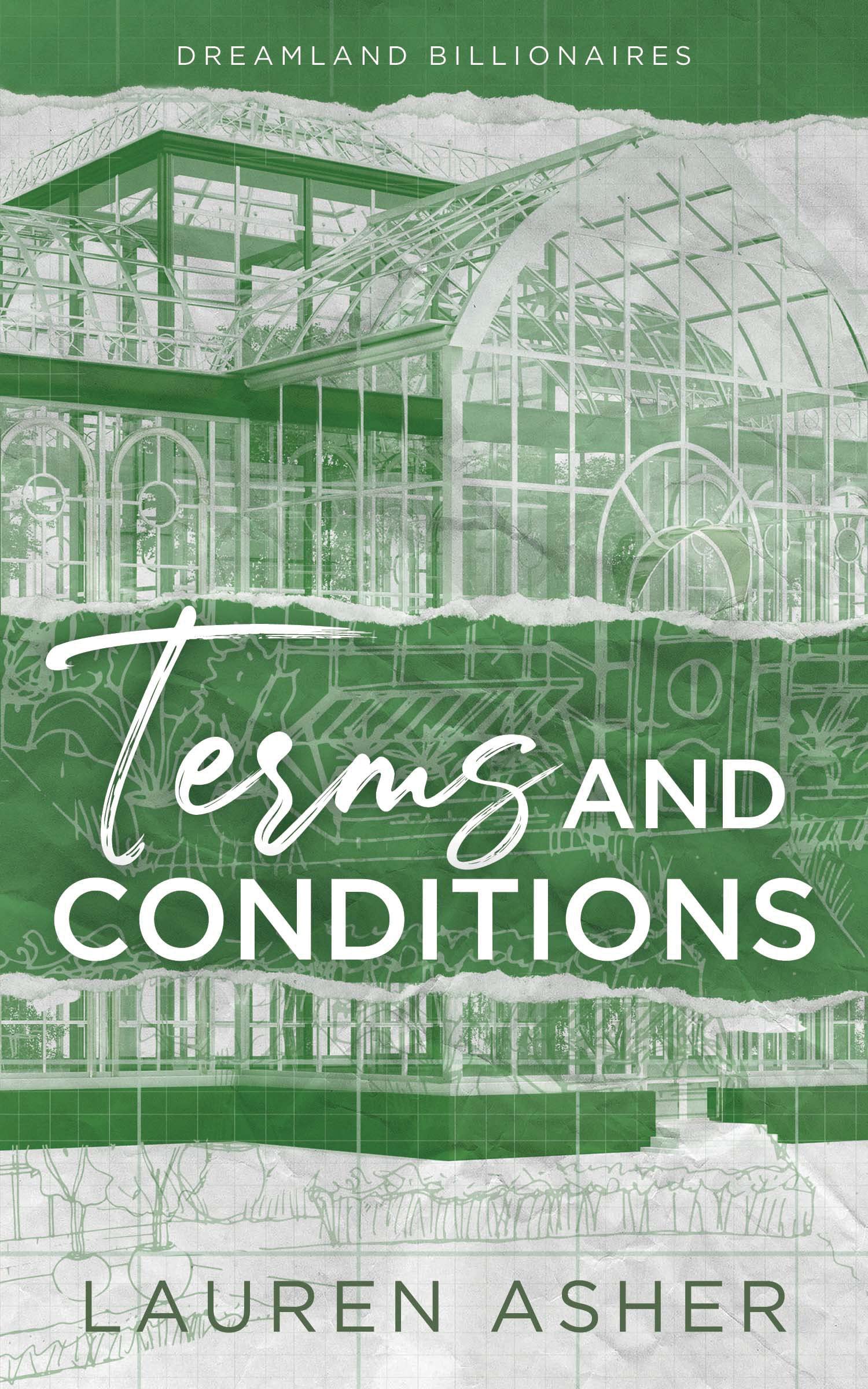 Terms and Conditions: The TikTok sensation! Meet the Dreamland Billionaires...,Used