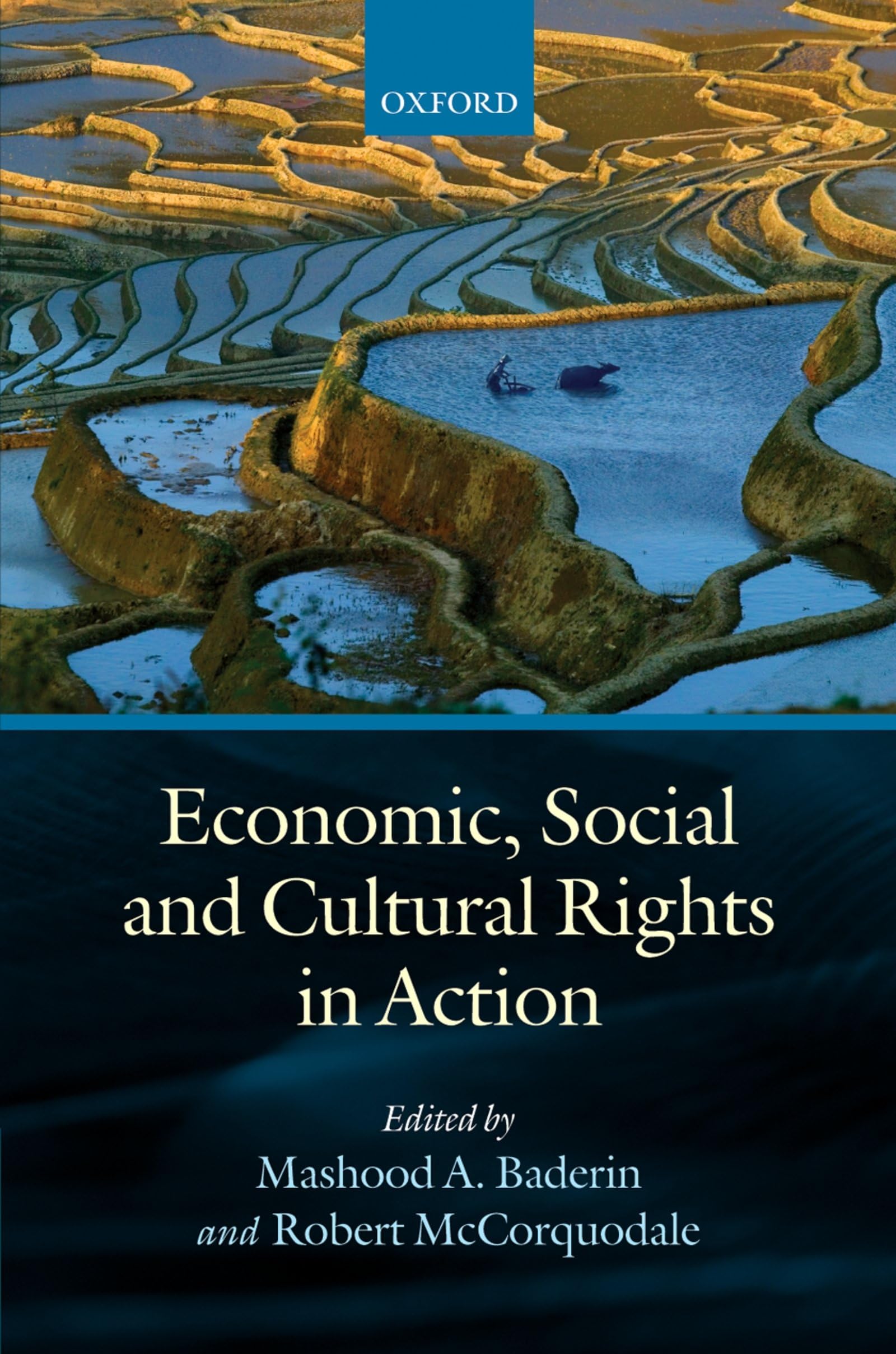 Economic, Social, and Cultural Rights in Action,Used