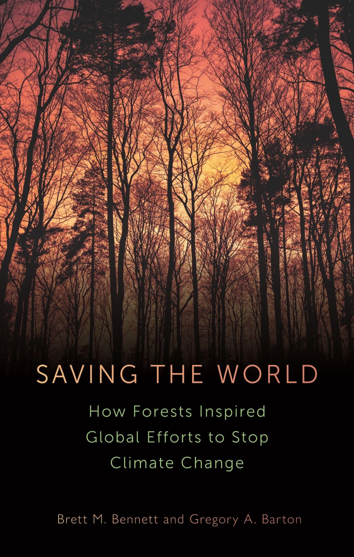 Saving the World: How Forests Inspired Global Efforts to Stop Climate Change,New