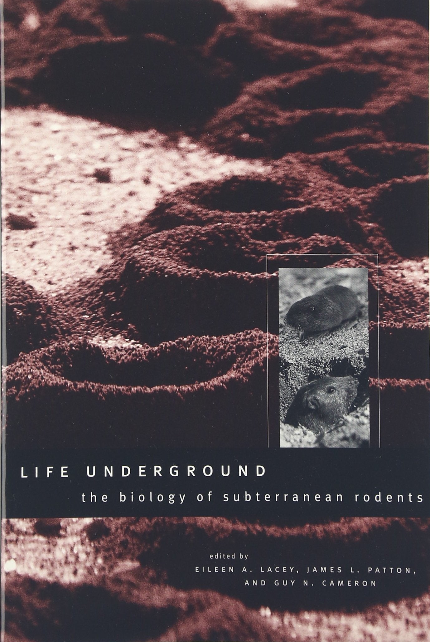 Life Underground: The Biology of Subterranean Rodents,New