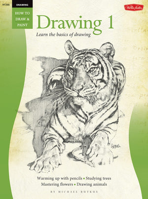 Drawing: Drawing 1: Learn The Basics Of Drawing (How To Draw & Paint)