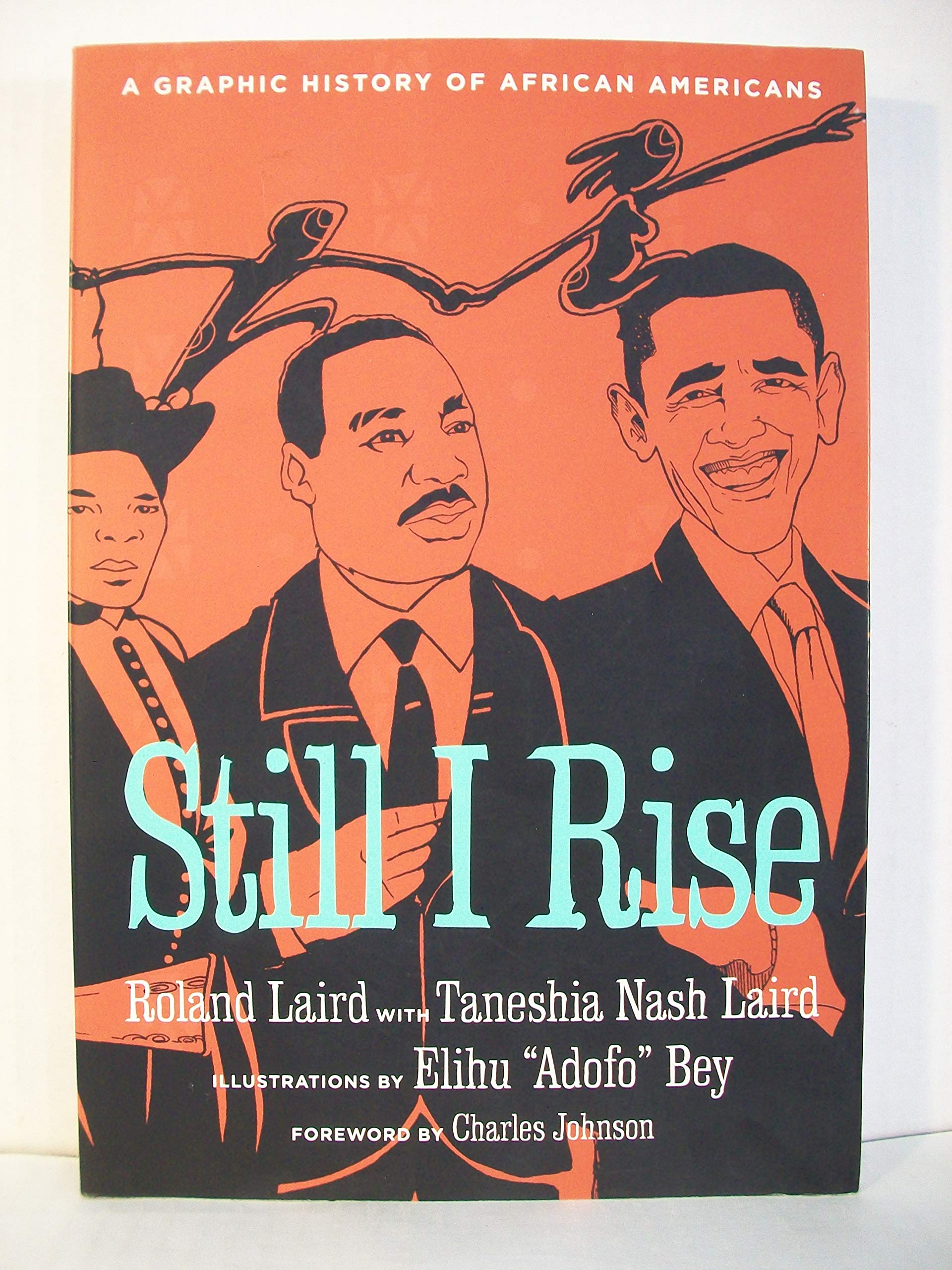 Still I Rise: A Graphic History of African Americans,New