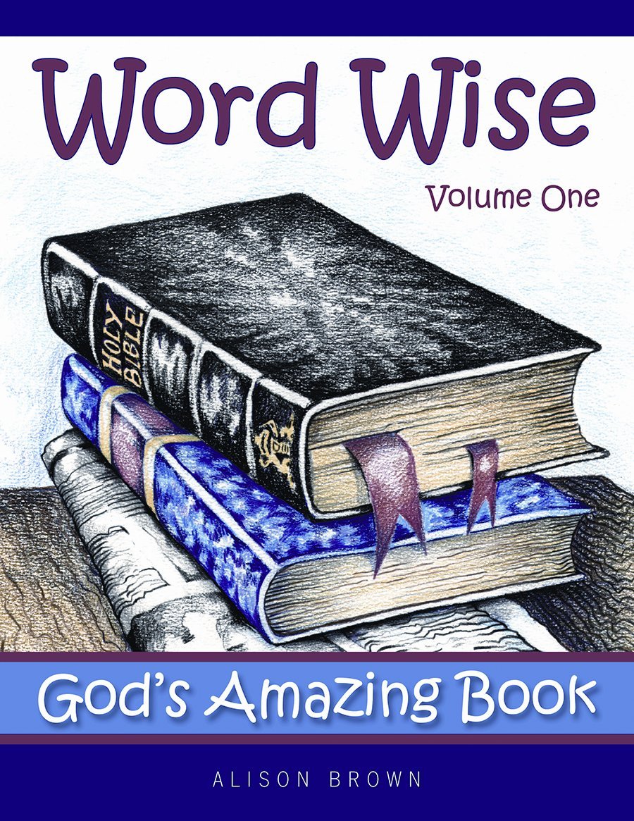 Word Wise, Volume One: God'S Amazing Book,Used