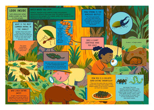 Life on Earth: Jungle: With 100 Questions and 70 Liftflaps!,Used