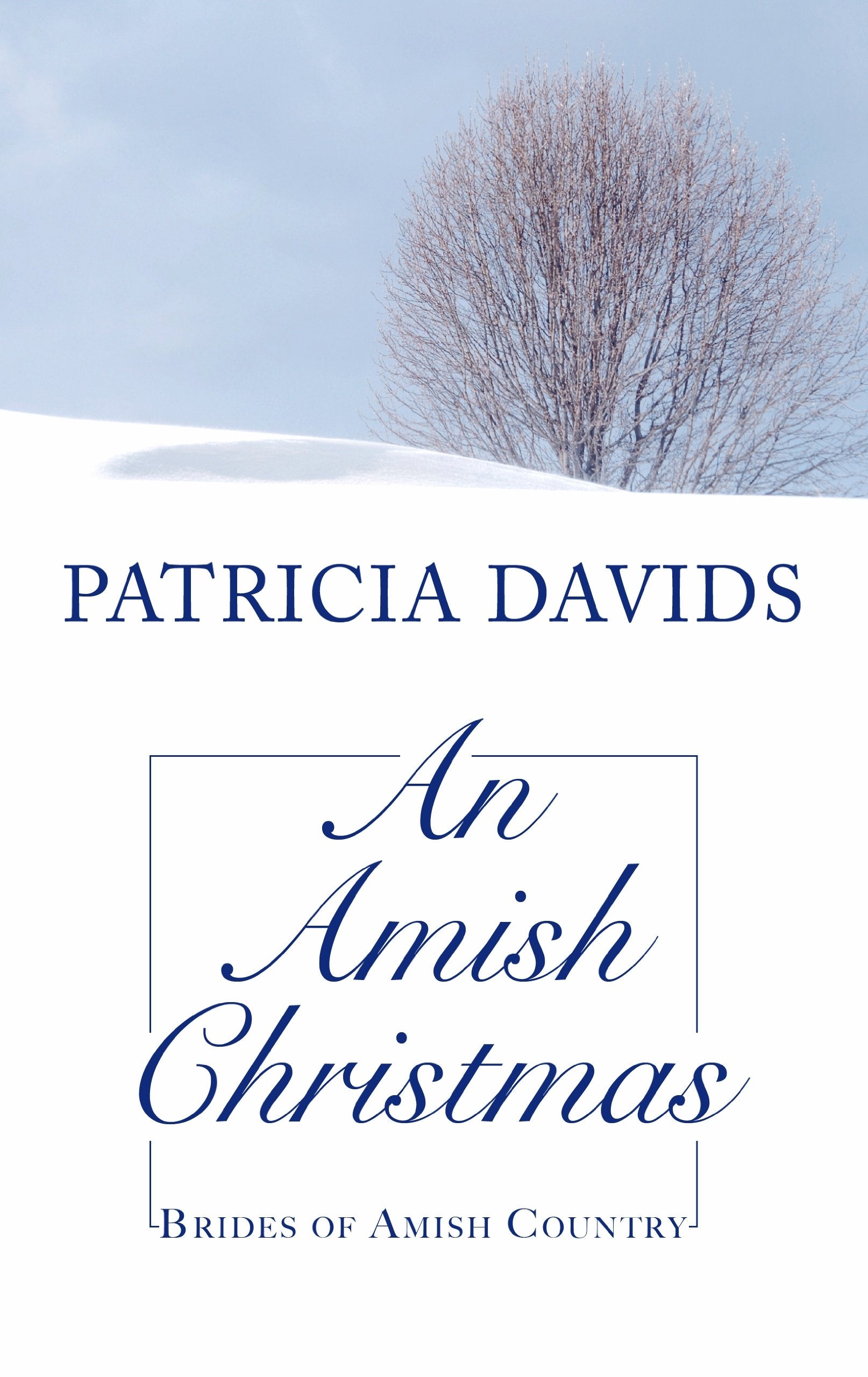 An Amish Christmas (Brides of Amish Country),Used