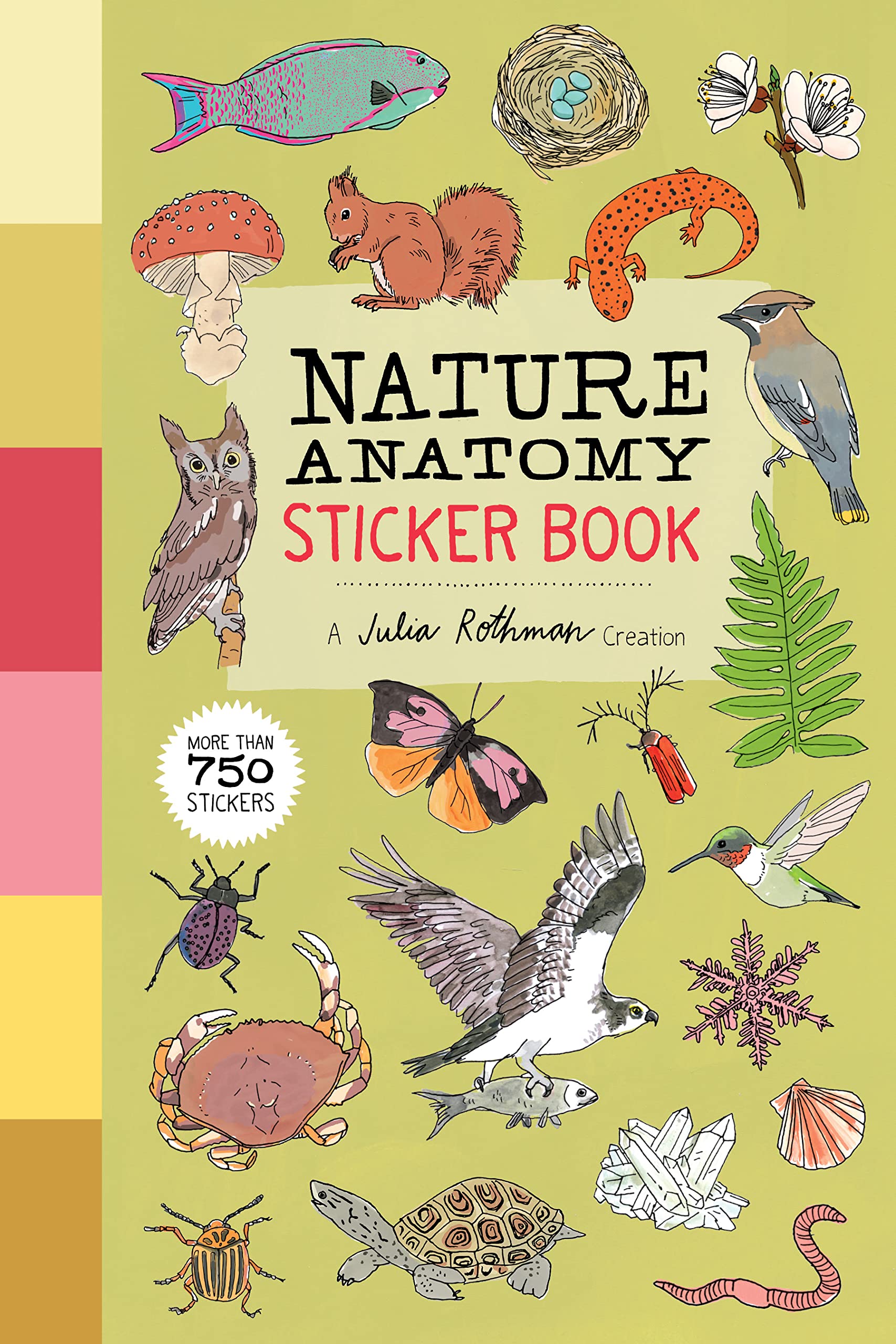 Nature Anatomy Sticker Book: A Julia Rothman Creation; More Than 750 Stickers,New