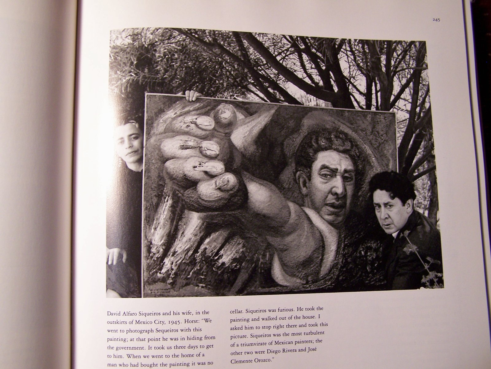 Horst: His Work And His World,New