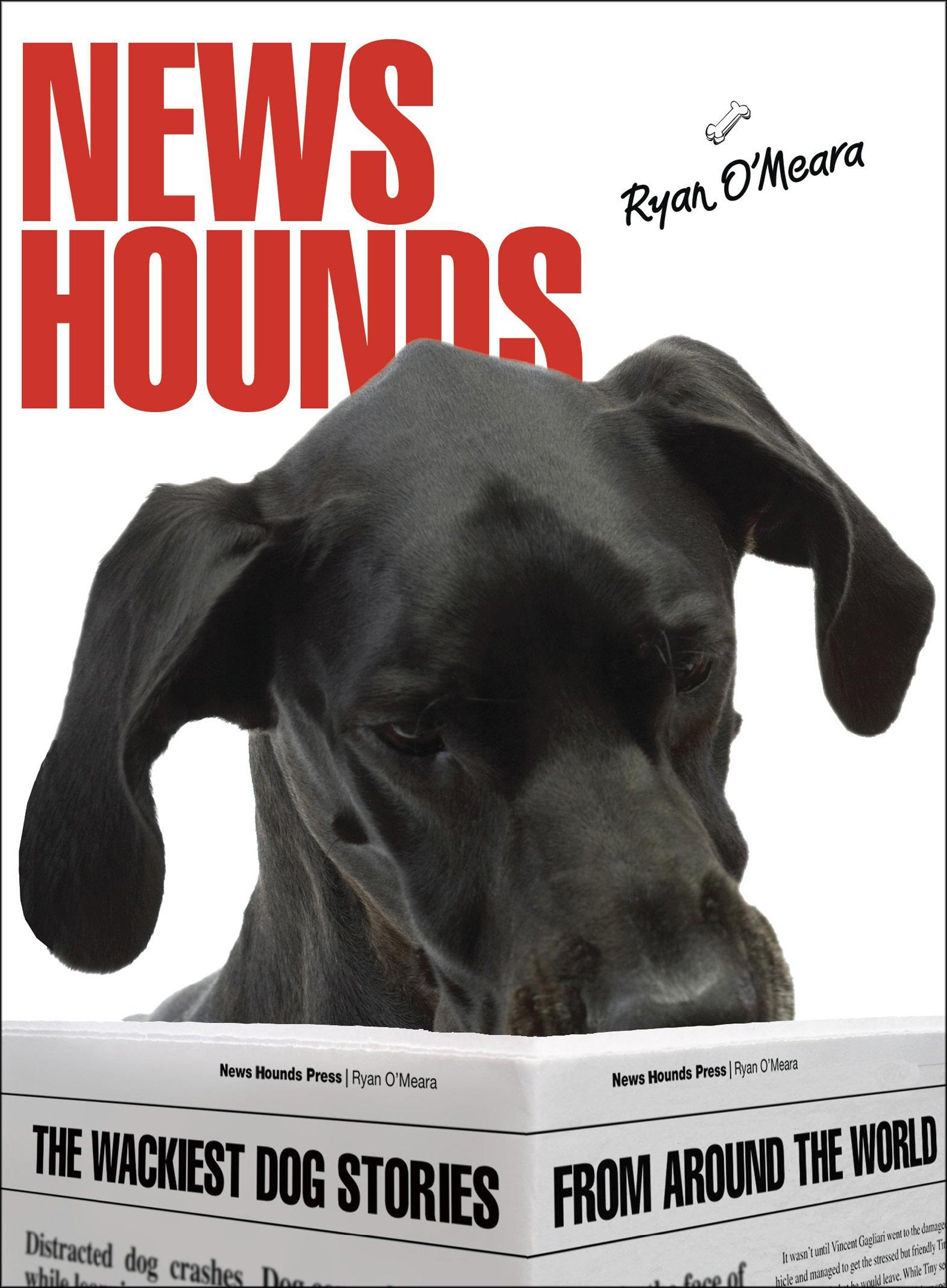 News Hounds: The Wackiest Dog Stories from Around the World,Used