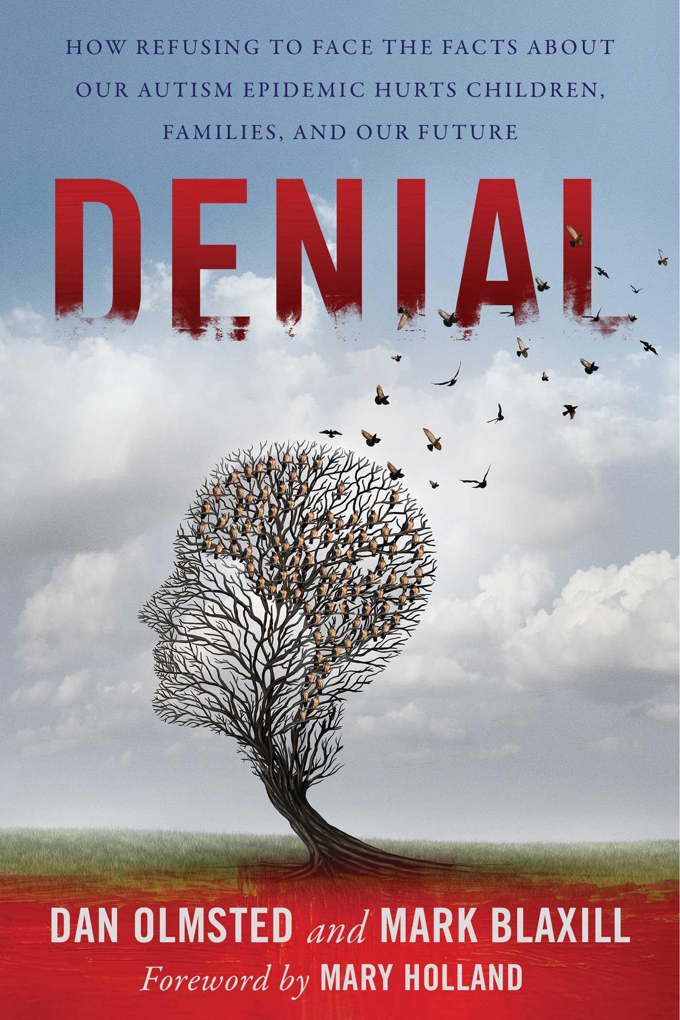 Denial: How Refusing To Face The Facts About Our Autism Epidemic Hurts Children, Families, And Our Future