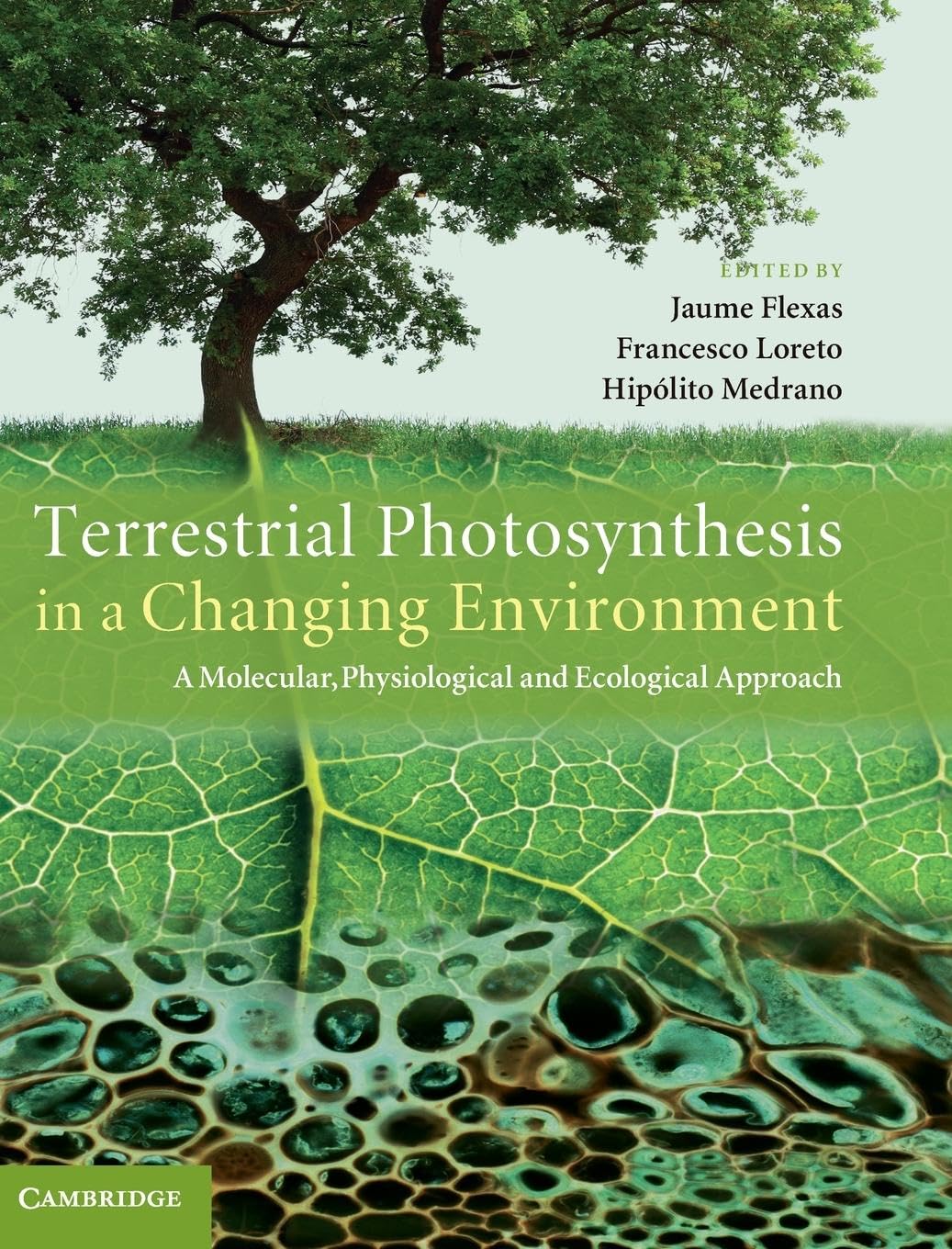Terrestrial Photosynthesis in a Changing Environment: A Molecular, Physiological, and Ecological Approach,Used