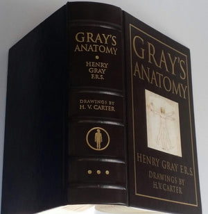 Gray s Anatomy