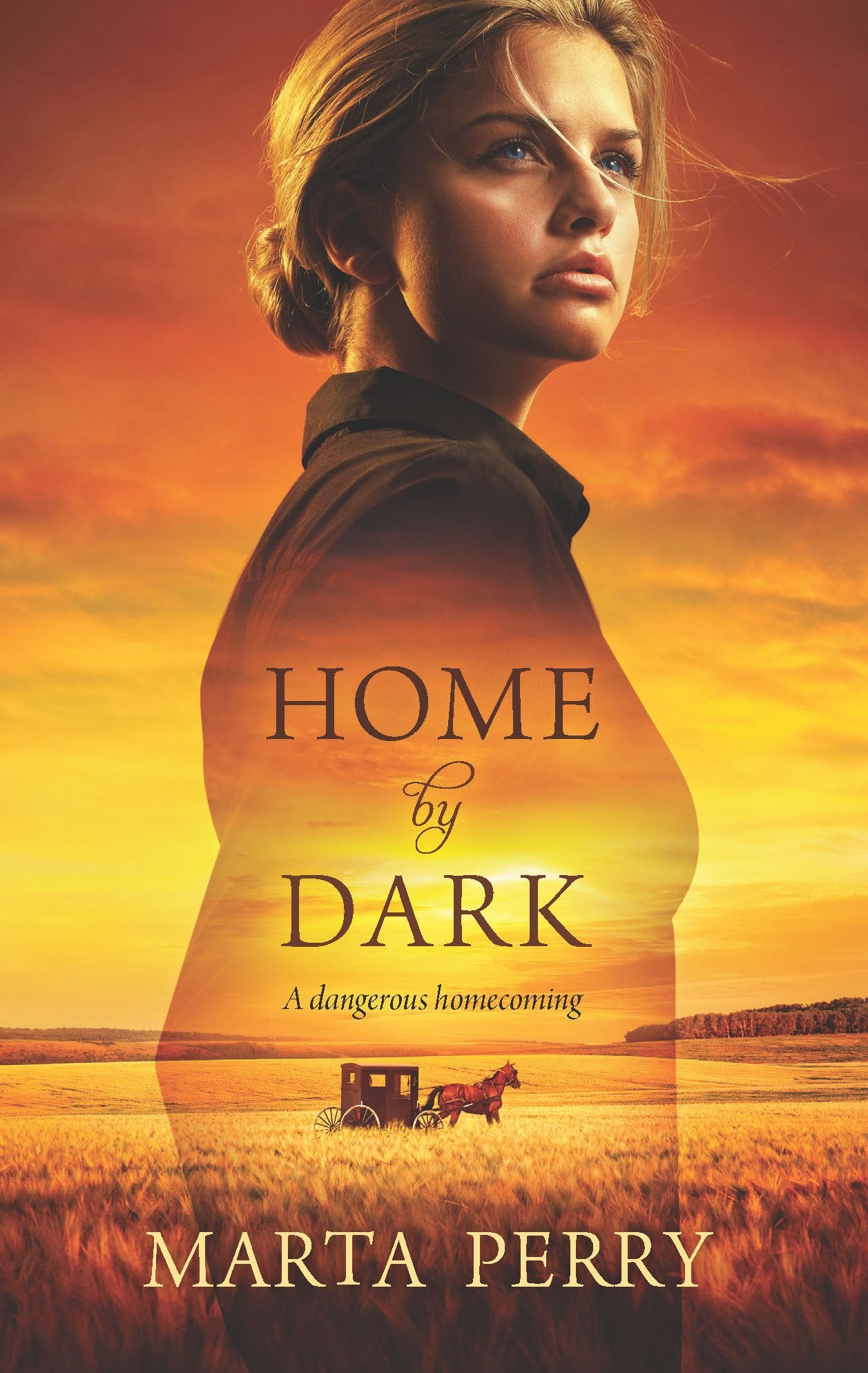Home by Dark,Used