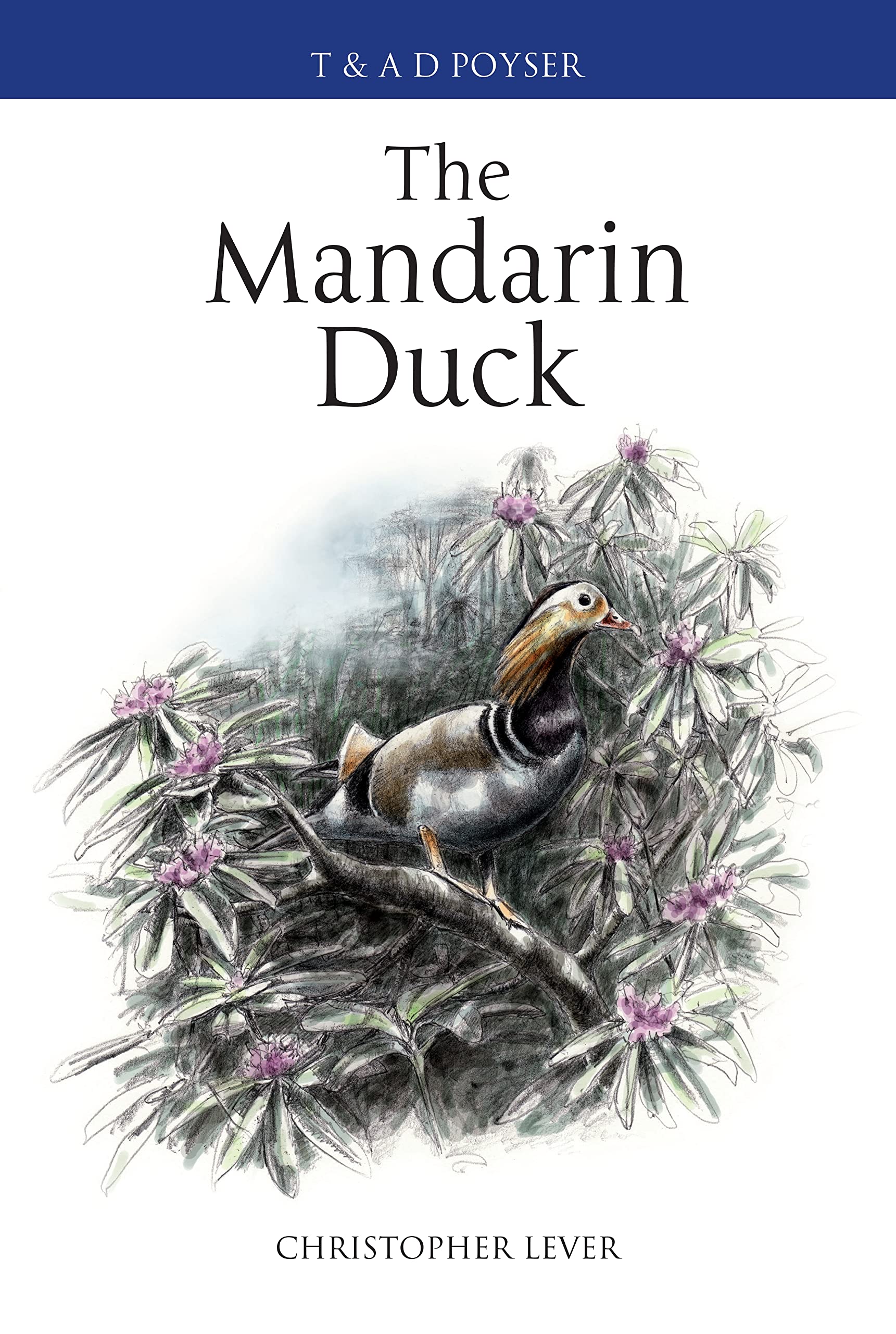 The Mandarin Duck (Poyser Monographs),Used