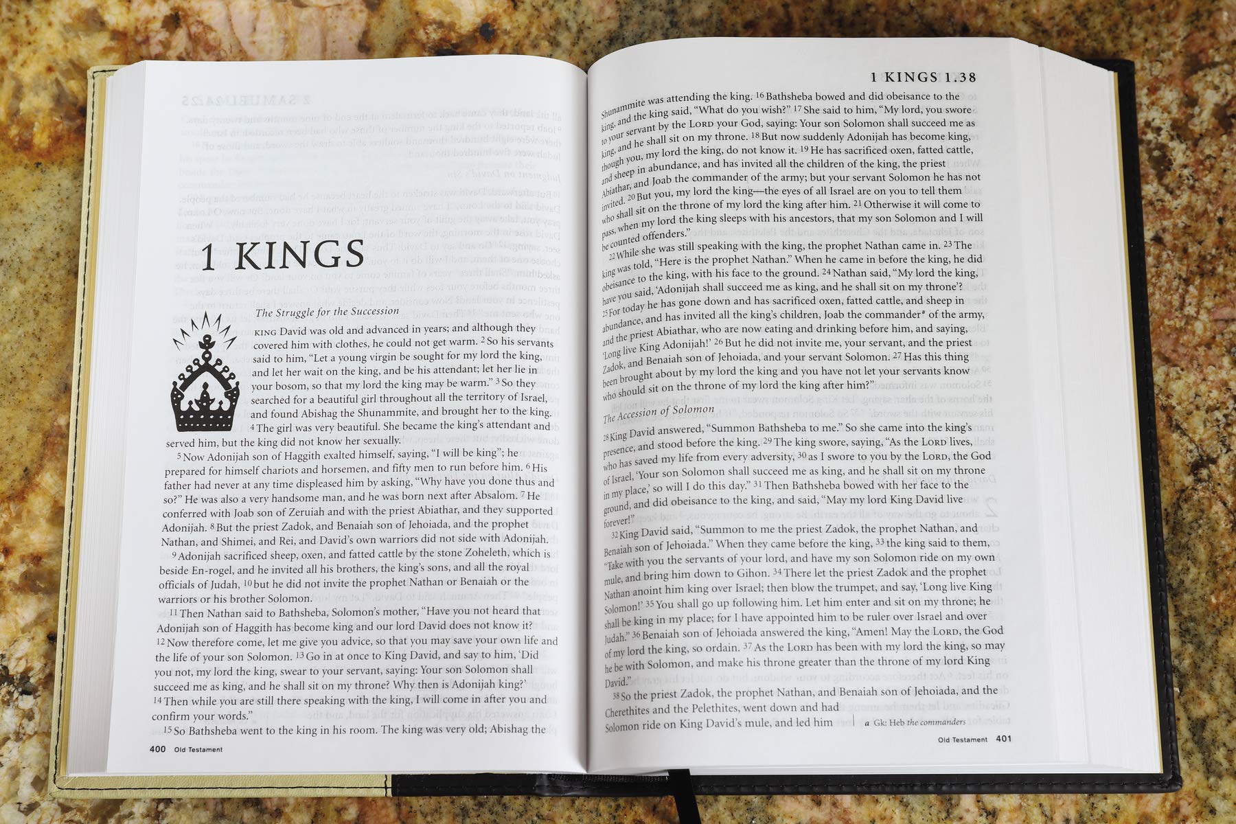 NRSV Standard Bible (tan/black),Used