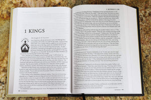 NRSV Standard Bible (tan/black),Used