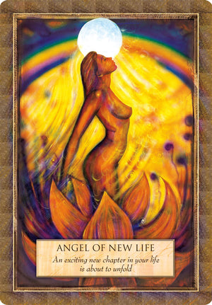 Angels, Gods, Goddesses,Used