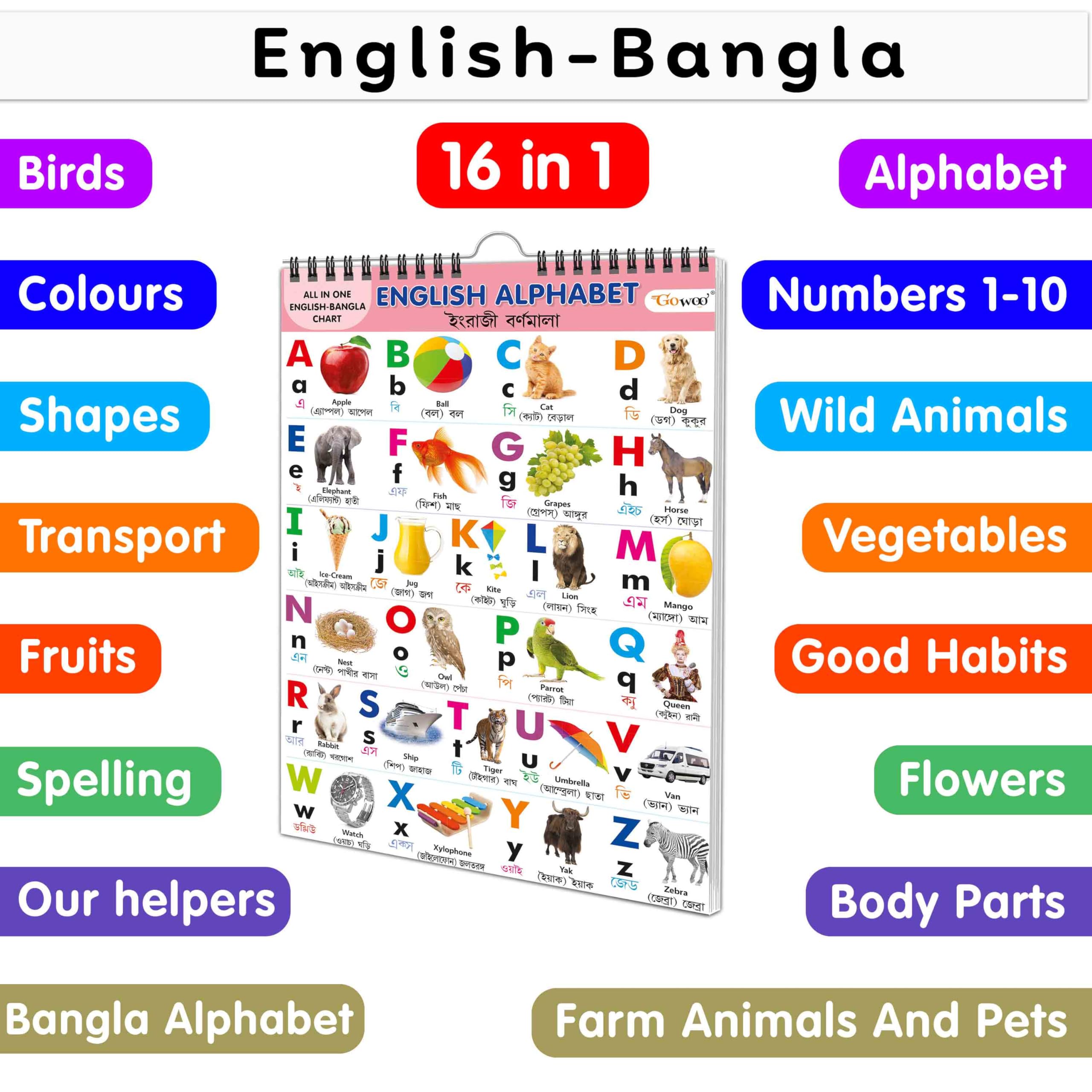My First All In One Spiral Chart English-Bangla : With 16 Topics : English Alphabet, Bengali Alphabet, Barahkhadi, Number 1-10, Colours, Shapes, Flowers, Fruits, Vegetables And Many More