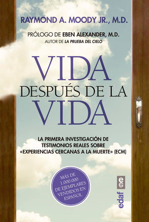 Vida Despus De La Vida (Spanish Edition)