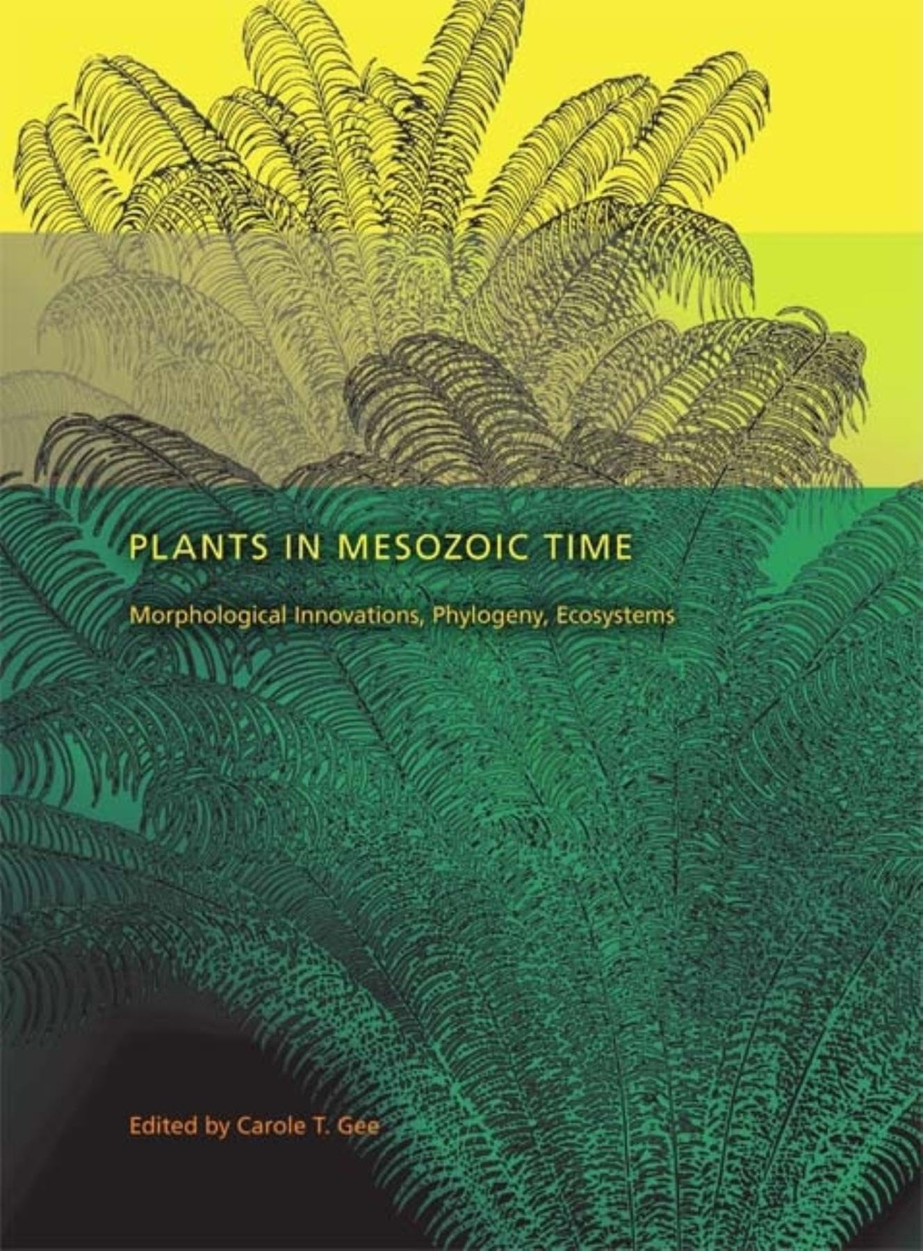 Plants In Mesozoic Time: Morphological Innovations, Phylogeny, Ecosystems (Life Of The Past),New