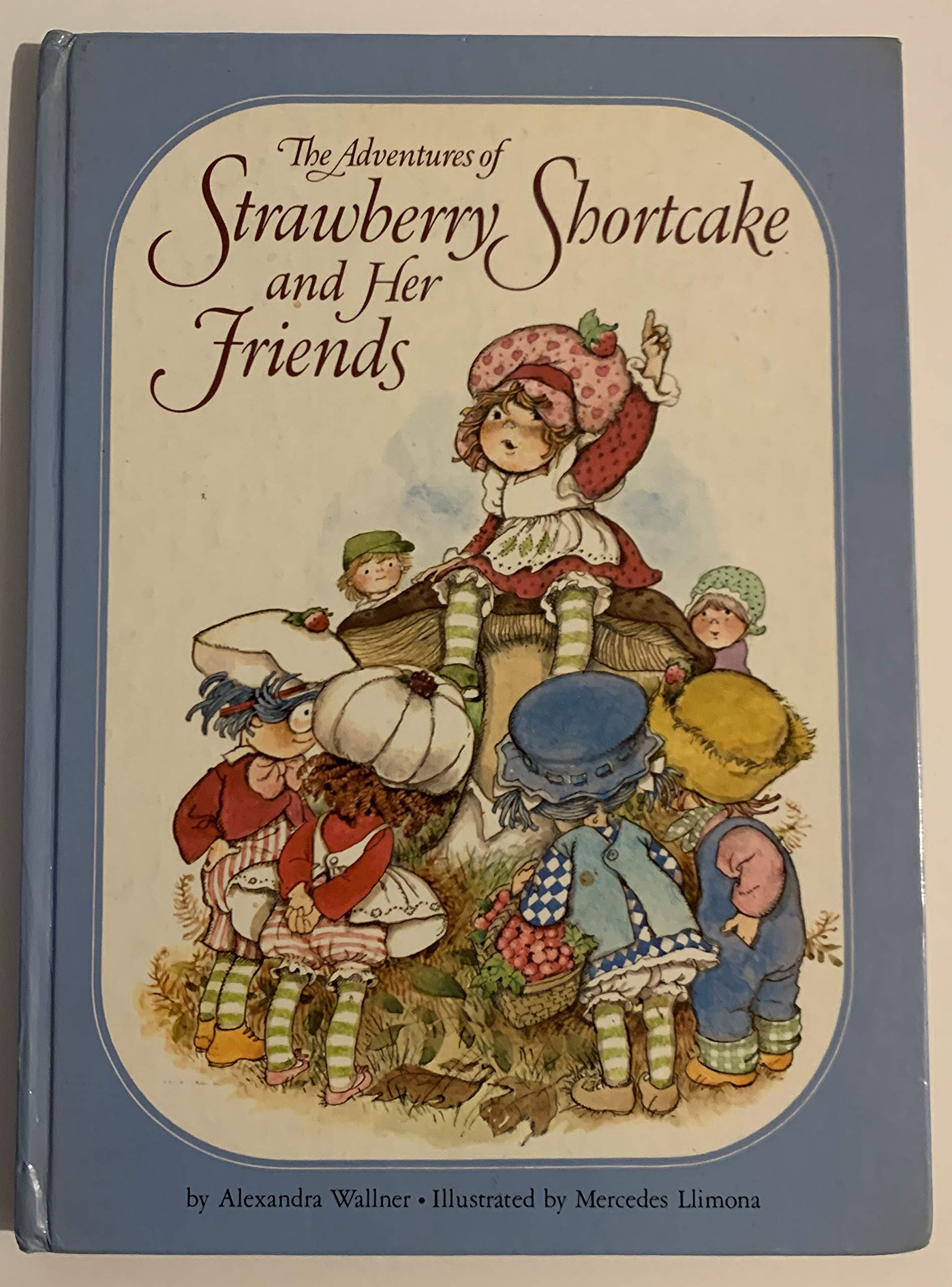 Adventures of Strawberry Shortcake and Her Friends,Used