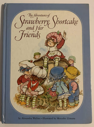 Adventures of Strawberry Shortcake and Her Friends,Used