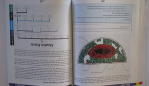 Rainbow Science Curriculum,Used