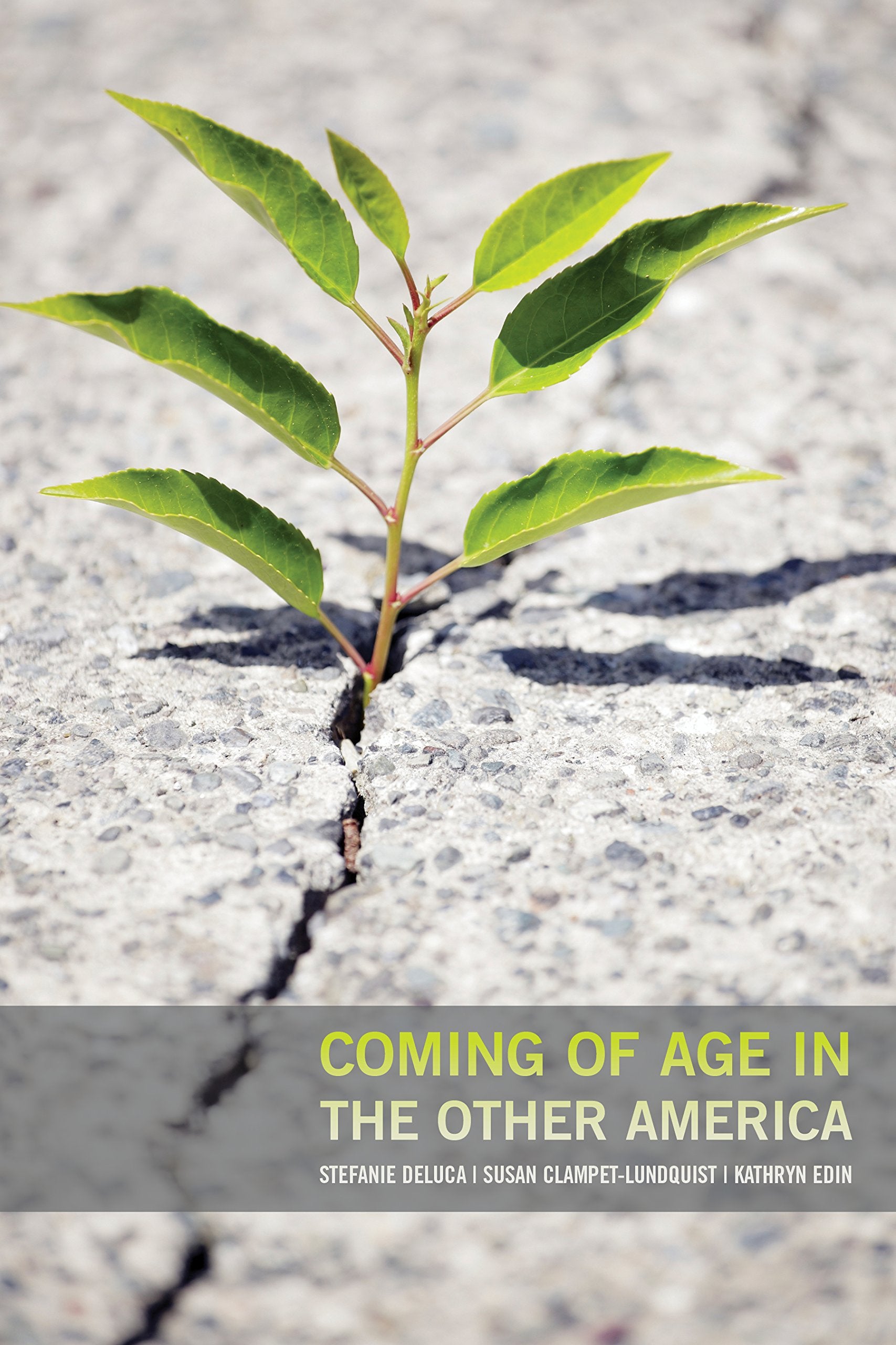Coming Of Age In The Other America