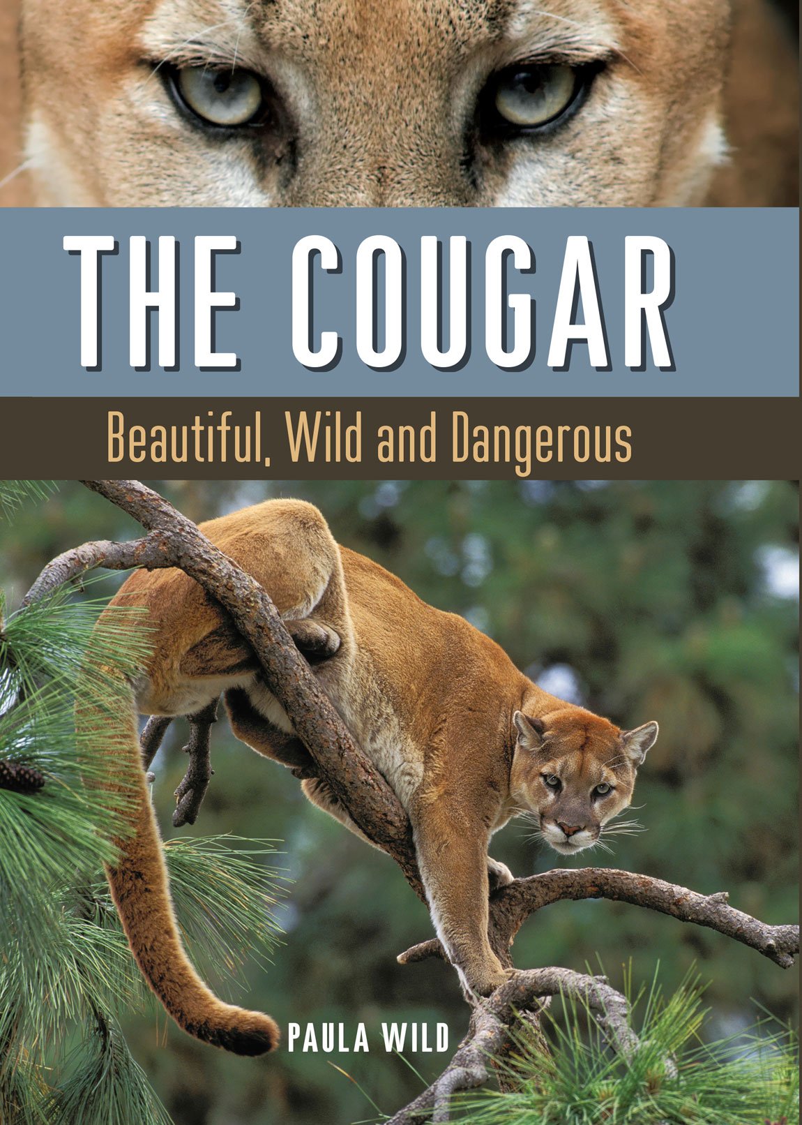 The Cougar: Beautiful, Wild and Dangerous,Used