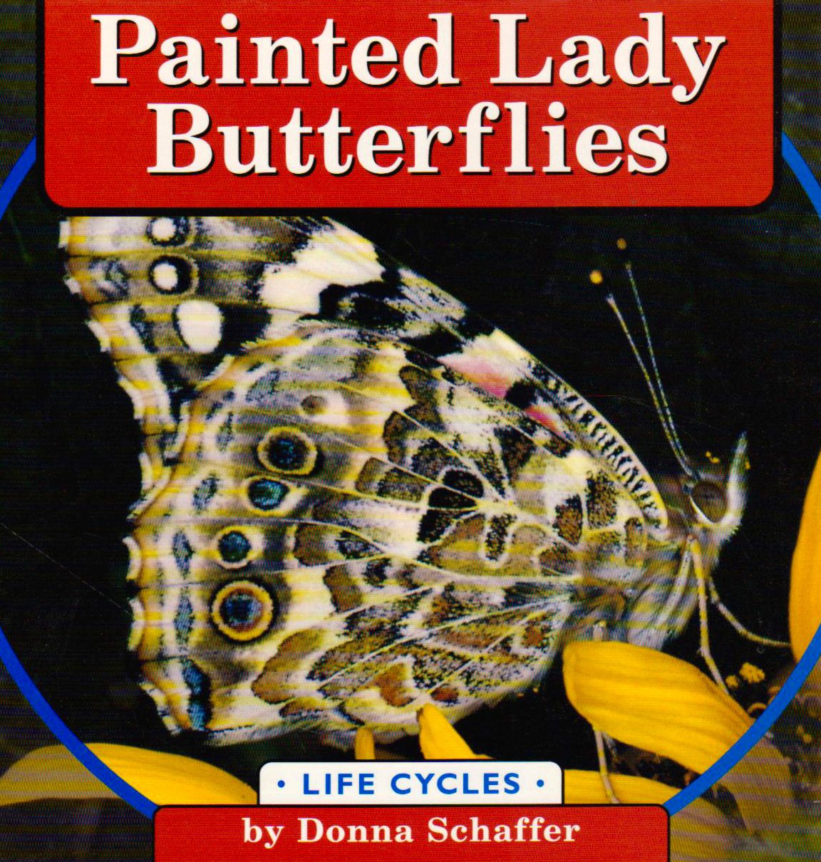 Painted Lady Butterflies (Life Cycles),Used