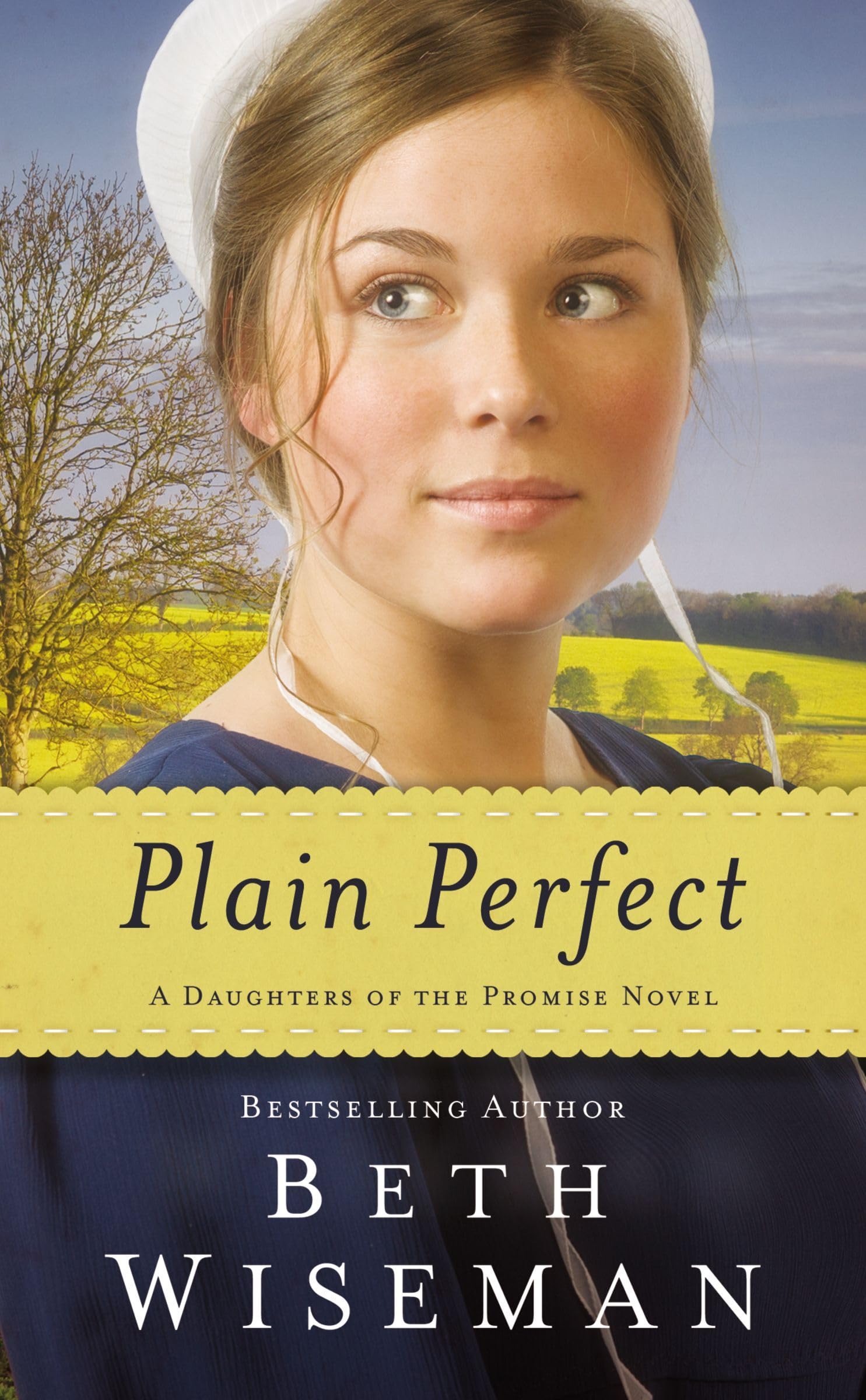 Plain Perfect (A Daughters of the Promise Novel),Used