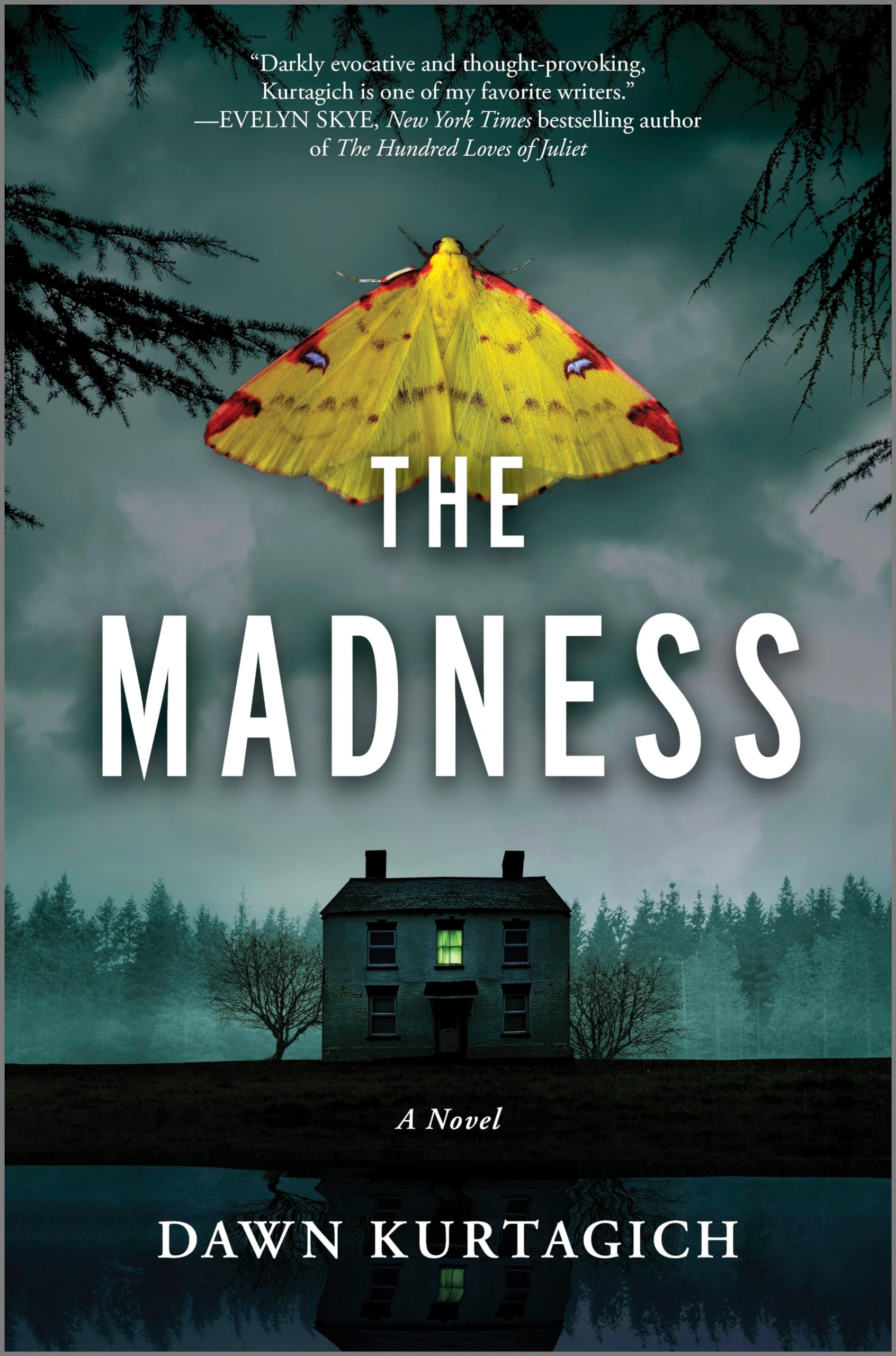 The Madness: A Novel,Used